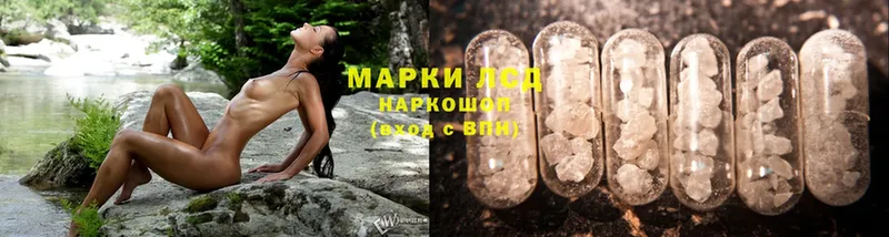 ЛСД экстази ecstasy  где можно купить   omg вход  Каменногорск 